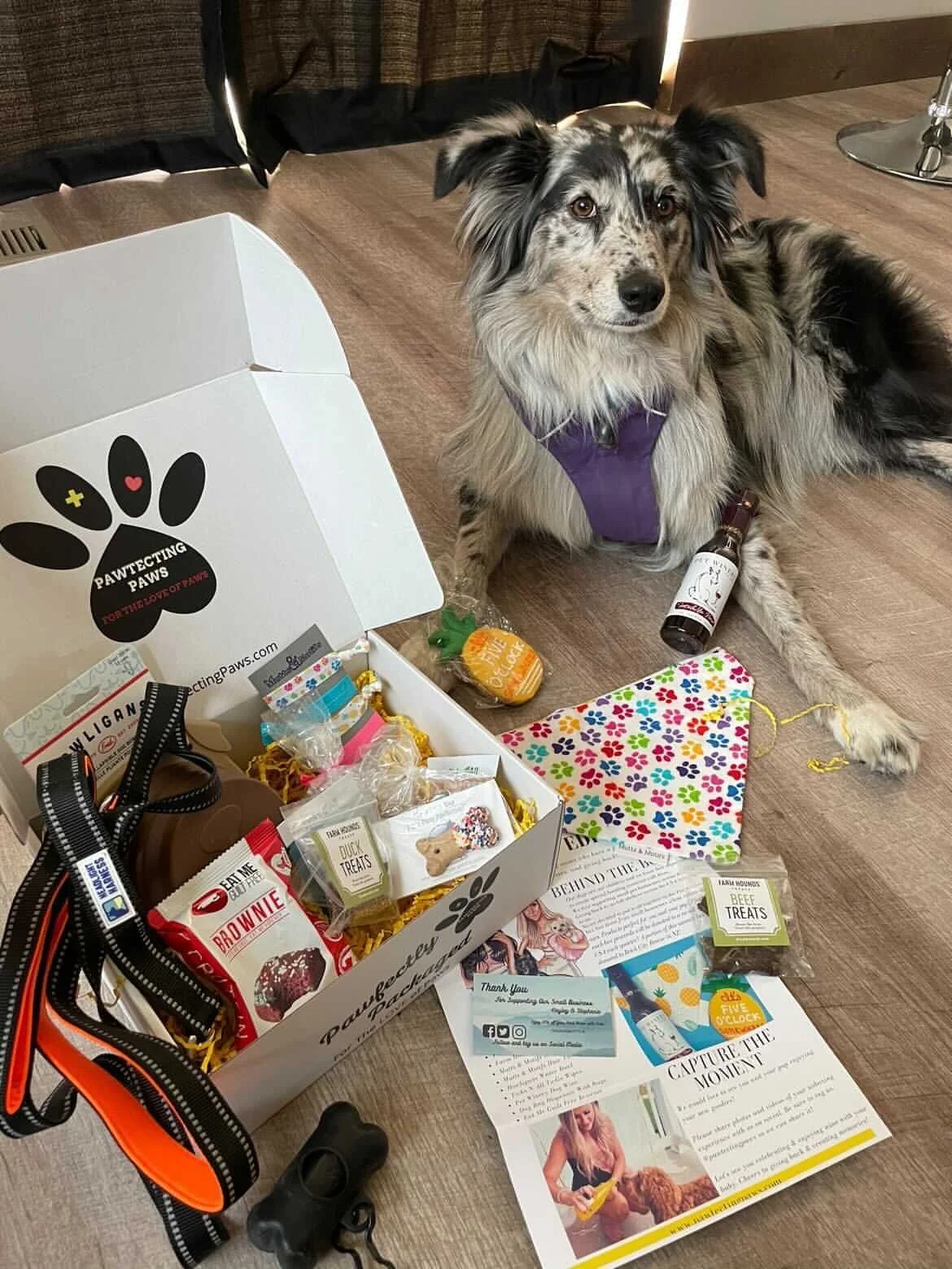 Dog boxes near clearance me